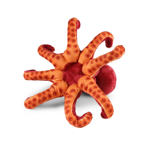 Rappa Plyšová chobotnice 26 cm ECO-FRIENDLY ~ 4