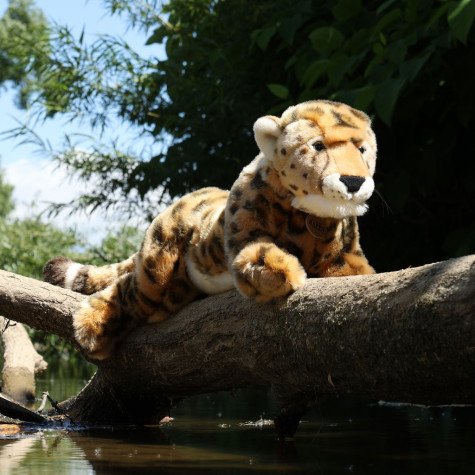 Rappa Plyšový gepard 48 cm ECO-FRIENDLY ~ 5