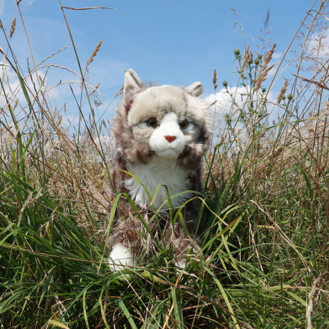 Rappa Plyšová norská kočka 38 cm ECO-FRIENDLY ~ 5