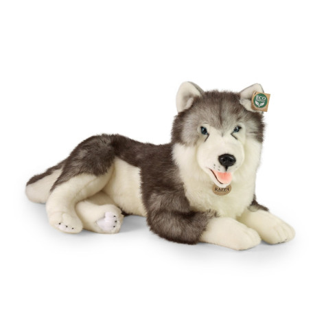 Rappa Plyšový pes husky ležící 60 cm ECO-FRIENDLY ~ 1