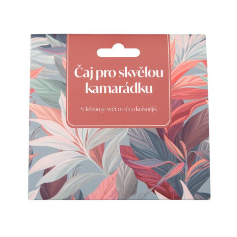 Albi Dárkový čaj - Pro skvělou kamarádku ~ 2