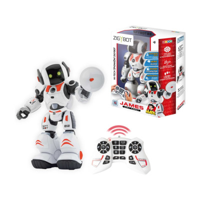 MaDe Zigybot robot James zigyagent