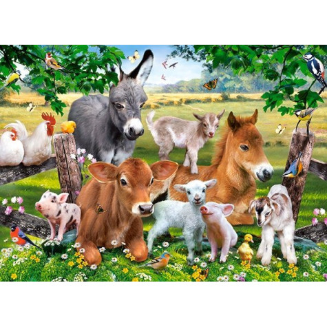Norimpex Diamantový obrázek malování 30x40cm - Zvířátka na farmě ~ 1