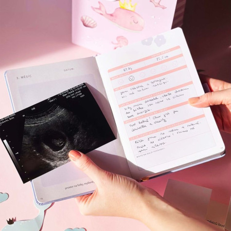 Mementerra Můj těhotenský deník ~ 3