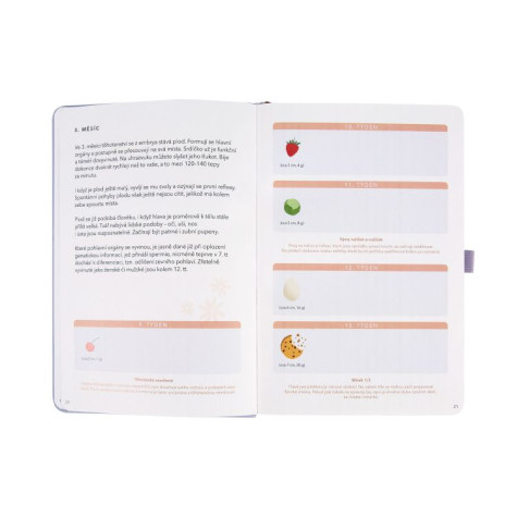 Mementerra Můj těhotenský deník ~ 5