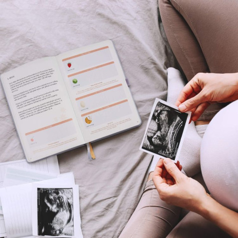 Mementerra Můj těhotenský deník ~ 9