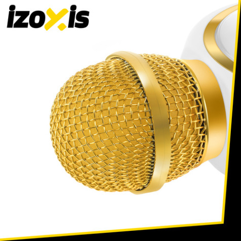 Bezdrátový dětský karaoke mikrofon bílý Izoxis 27047 ~ 8