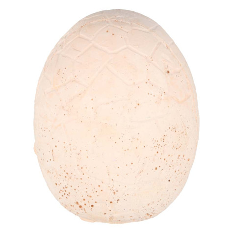 Archeologická sada XL Dinosauří vejce 12 ks ~ 4