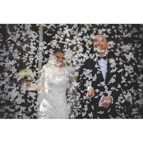 Vystřelovací svatební konfety 40 cm - motýlci
