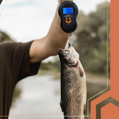 Závěsná váha na zavazadla 50 kg Ruhhy 26103 ~ 4