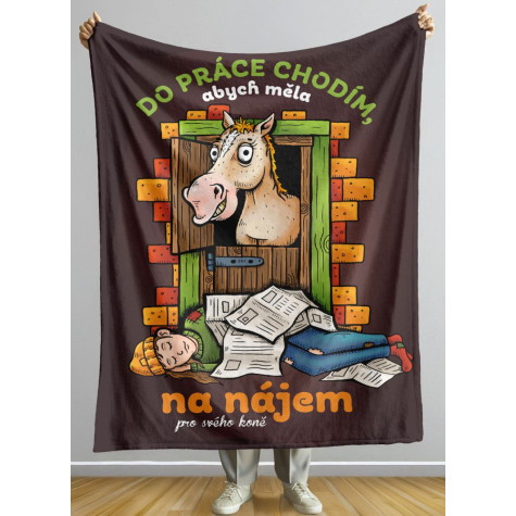 Deka 200 x 140 cm - Na nájem pro koně ~ 2