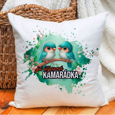 Ahome Polštář - Úžasná kamarádka