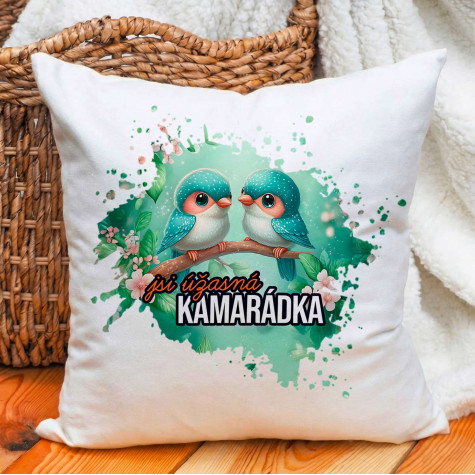 Ahome Polštář - Úžasná kamarádka ~ 1