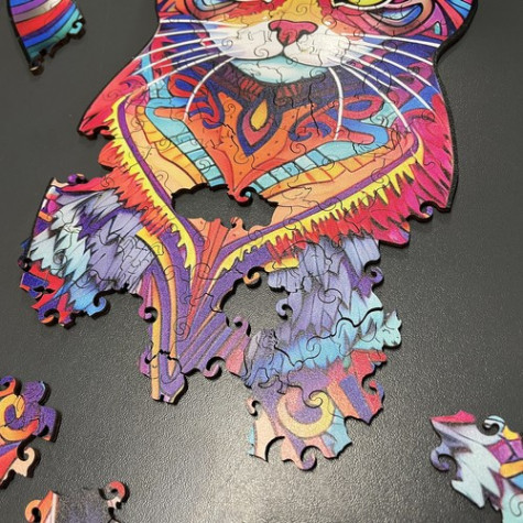 Dřevěné puzzle Barevná kočka Kruzzel 22878 ~ 6