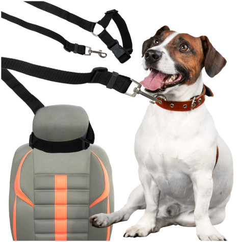 Bezpečnostní vodítko do auta na psa ~ 1