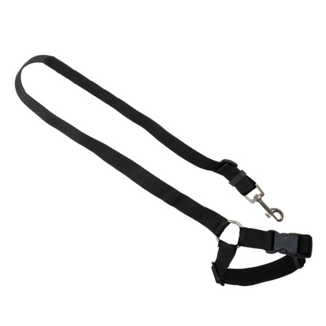 Bezpečnostní vodítko do auta na psa ~ 2