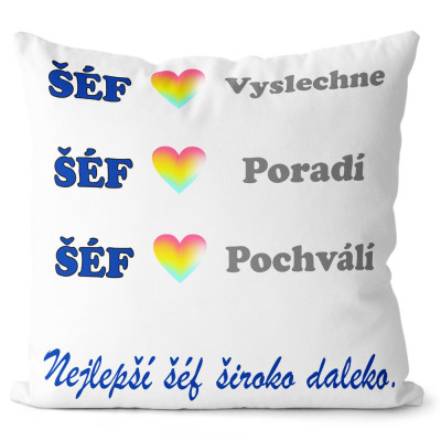 Polštář 40 x 40 cm - Šéf poradí