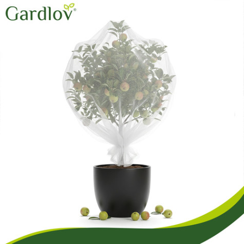 Ochranná síť na rostliny 300x600cm Gardlov 27548 ~ 5