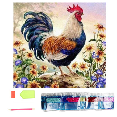 Norimpex Diamantový obrázek malování 30x40cm - Hrdý barevný kohout