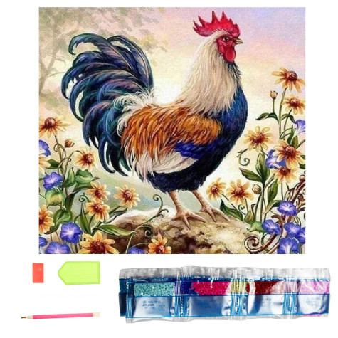 Norimpex Diamantový obrázek malování 30x40cm - Hrdý barevný kohout ~ 1