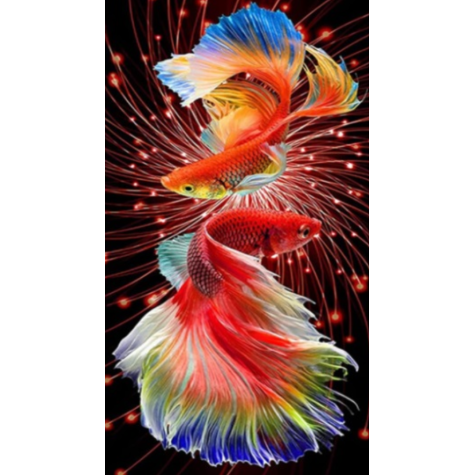 Norimpex Diamantový obrázek malování 30x40cm - Dvě červené rybky ~ 1