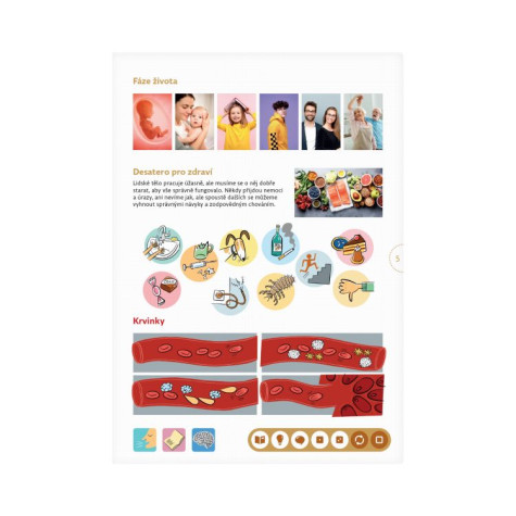 Albi Kouzelné čtení - Kniha Prvouka ~ 2