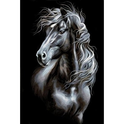 Norimpex Diamantový obrázek malování 30x40cm - Portrét černý kůň ~ 2