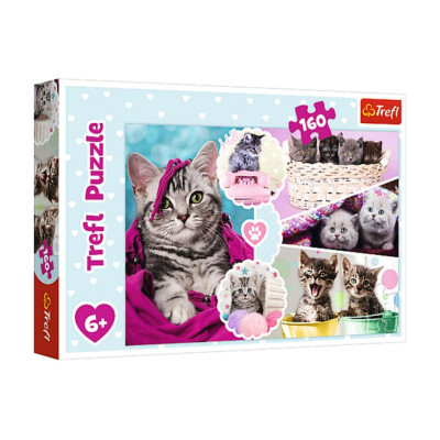TREFL Puzzle Koťata 160 dílků