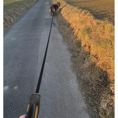 Samonavíjecí vodítko na psa 5m 15kg Purlov 19788 ~ 3