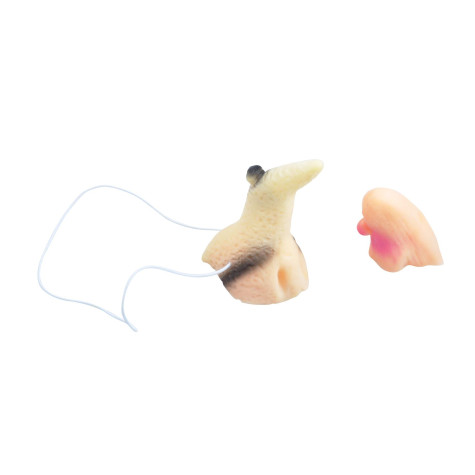 Nos a brada čarodějnice na kartě ~ 3