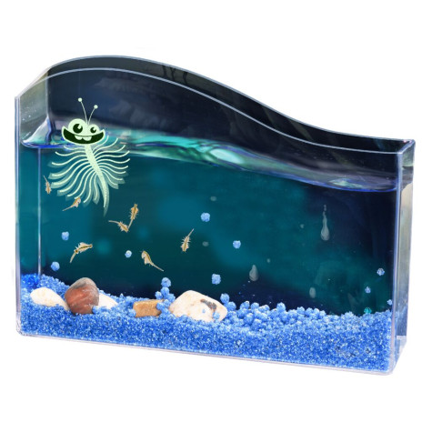 KOSMOS Vodní mazlíček žábronožka solná ~ 2