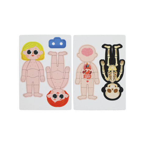 Skládačka magnetická krabička Tělo člověka 57 ks ~ 4