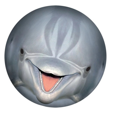 Míč do vody k potápění Delfín 23 cm ~ 2