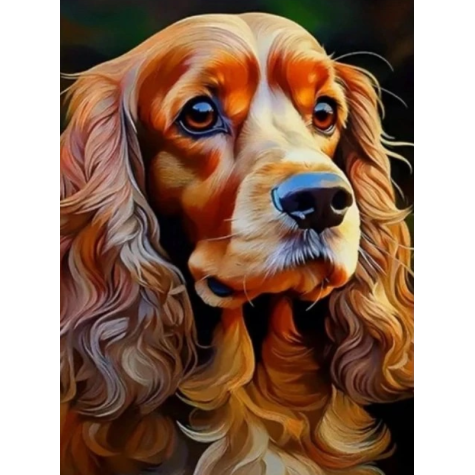 Norimpex Diamantový obrázek malování 30x40cm - Pes kokršpaněl portrét ~ 2