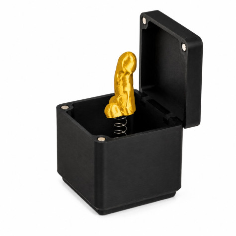 Secret gift box Černá skříňka s překvapením - penis ~ 1