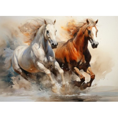 Norimpex Diamantový obrázek malování 30x40cm - Běžící koně bílý a hnědý