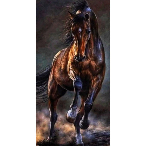Norimpex Diamantový obrázek malování 30x40cm - Kůň v bouři ~ 2