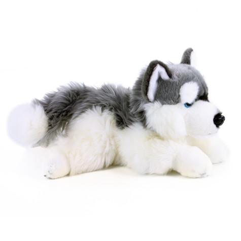 Rappa Plyšový pes husky ležící 30 cm ~ 2
