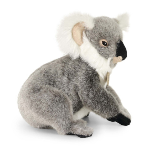 Rappa Plyšová koala stojící 25 cm ECO-FRIENDLY ~ 3