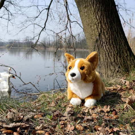 Rappa Plyšový pes corgi 32 cm ECO-FRIENDLY ~ 5