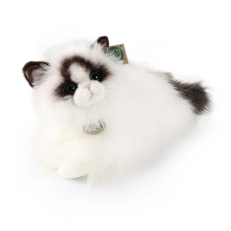 Rappa Plyšová kočka ragdoll 38 cm ECO-FRIENDLY ~ 2