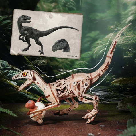 RoboTime 3D dřevěná mechanická skládačka Velociraptor ~ 4