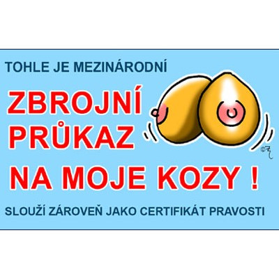 Průkaz - Tohle je mezinárodní zbrojní průkaz