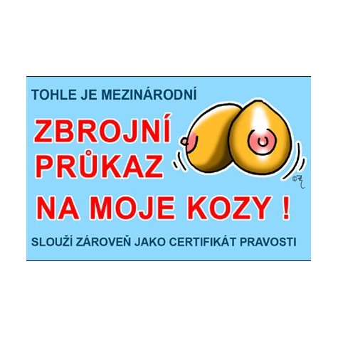 Průkaz - Tohle je mezinárodní zbrojní průkaz