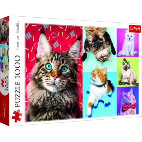 Trefl Puzzle Šťastné kočky 1000 dílků
