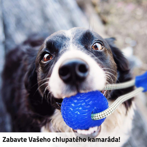 Hračka pro psy na čištění zubů
