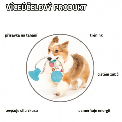 Hračka pro psy na čištění zubů ~ 7