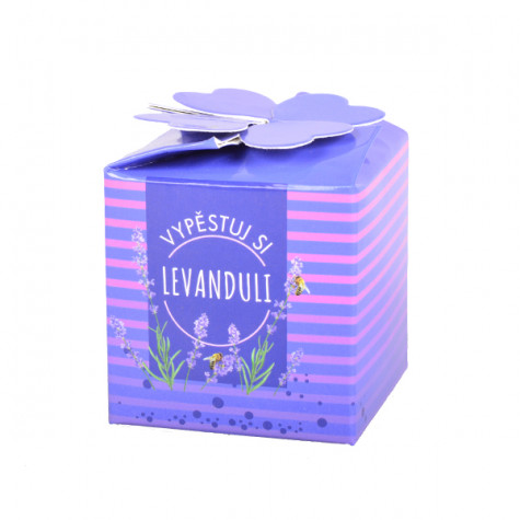 Vypěstuj si levanduli ~ 2