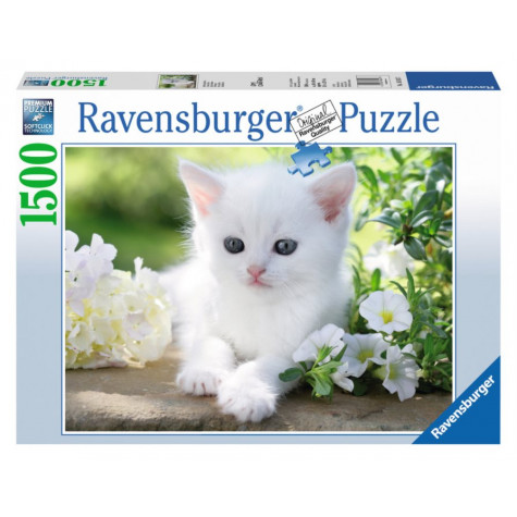 RAVENSBURGER Puzzle Bílé kotě 1500 dílků ~ 1