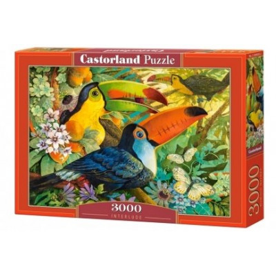 CASTORLAND Puzzle Barevní tukani 3000 dílků